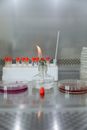 about bluewell peptides